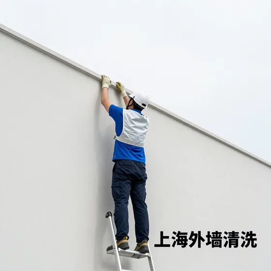 该品牌